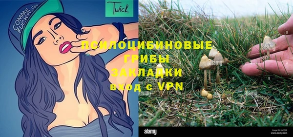 молекула духа Елизово