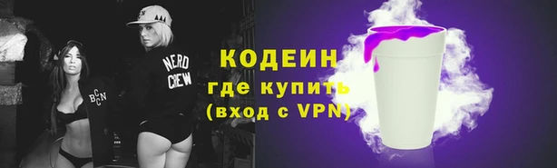 молекула духа Елизово