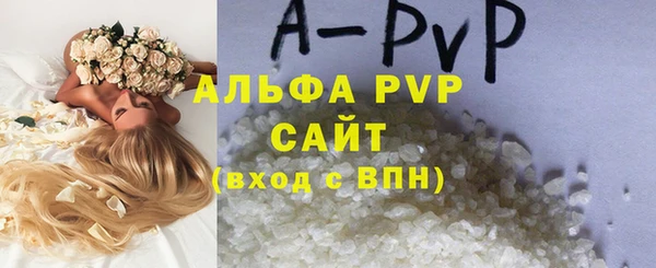 молекула духа Елизово