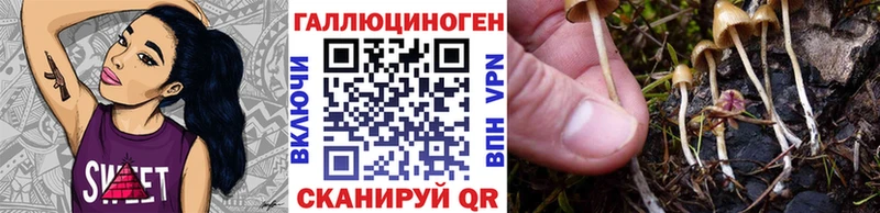 Псилоцибиновые грибы MAGIC MUSHROOMS  купить  сайты  Псков 